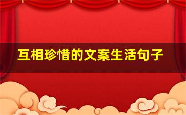 互相珍惜的文案生活句子