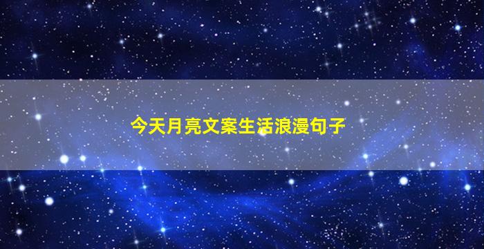 今天月亮文案生活浪漫句子