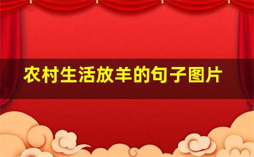 农村生活放羊的句子图片