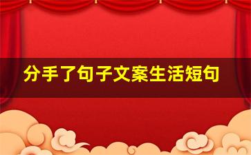 分手了句子文案生活短句