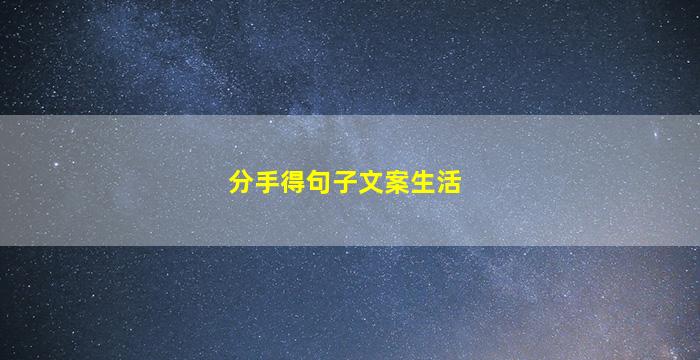 分手得句子文案生活