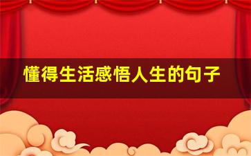 懂得生活感悟人生的句子